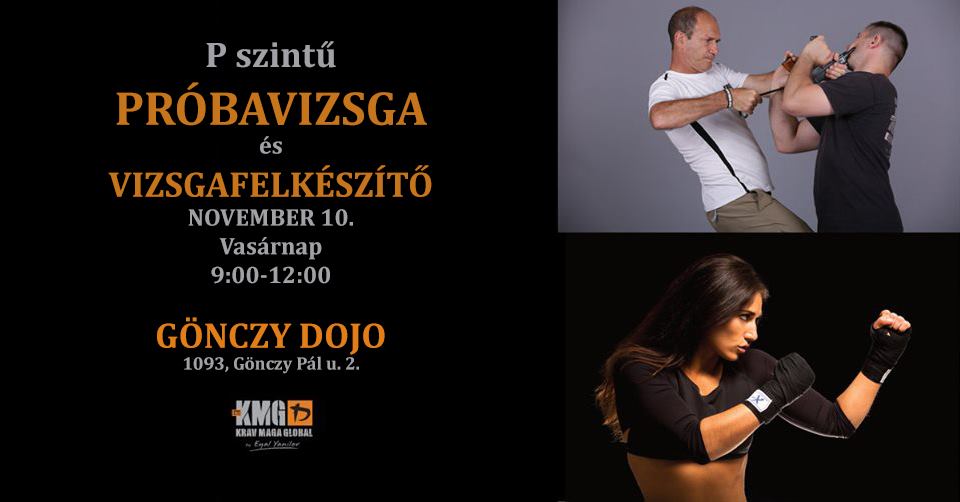 P szintű próbavizsga és vizsgafelkészítő – November 10. (Vasárnap) – Budapest